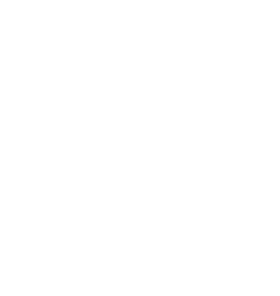 scottish terrier named rocket